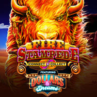 Fire Stampede Dollars and Dreams in LatestReleases